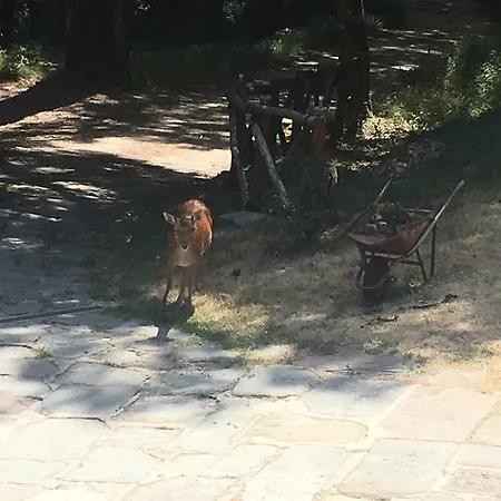 Vakantieboerderij Agriturismo Montemezzano